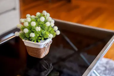 a small plant in a wicker basket on a table at Villa Autjima krabi /3BRD in Ban Khlong Haeng