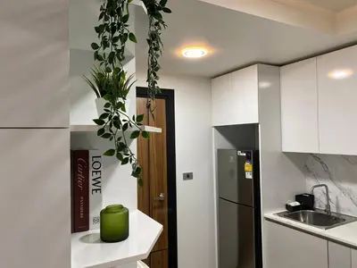 a kitchen with a green plant hanging from the ceiling at New apartment Rawai Beach 310 by Capital Pro in Phuket Town