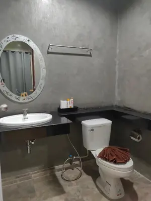 a bathroom with a sink and a toilet and a mirror at Phudis Guest House in Ban Khlong Haeng