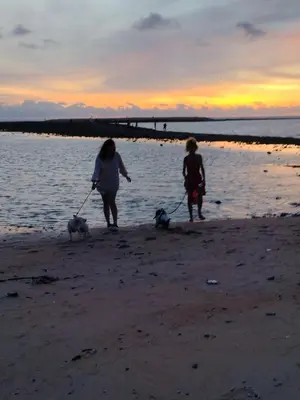 two people walking two dogs on the beach at STAYHERE@AIRPORT SERVICE APARTMENT in Ban Bo Han