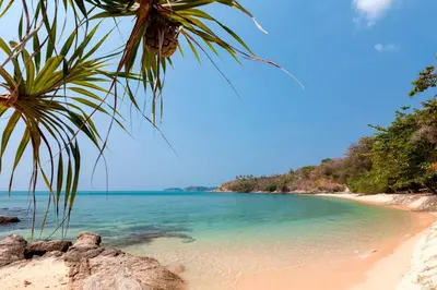 a beach with a palm tree and the ocean at Baan Khunying - Secluded Phuket Beachfront Villa in Rawai Beach