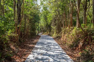 a road in the middle of a forest with trees at Baan Khunying - Secluded Phuket Beachfront Villa in Rawai Beach