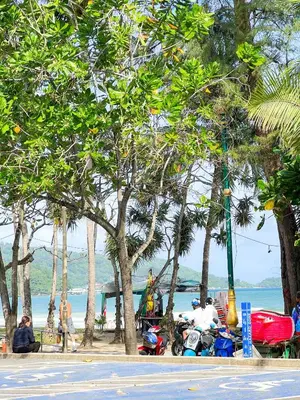 a group of motorcycles parked next to the beach at 88 House Patong in Patong Beach