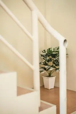 a potted plant sitting next to a staircase at Beds Friends Phi Phi Hostel - Party Hostel in Phi Phi Don
