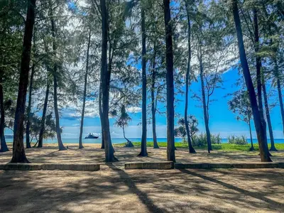 a park with trees and the ocean in the background at La Green Hotel and Residence in Bang Tao Beach