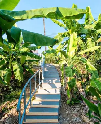a path in a banana plantation with a blue railing at Poolvillapanwa in Panwa Beach