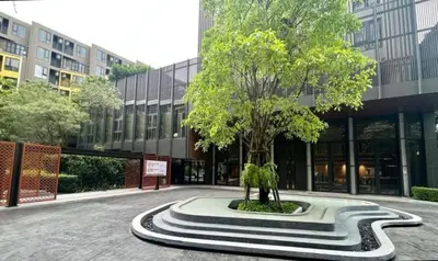 a tree sitting in the middle of a building at The Base - New Studio Great location, shared Pool in Ban Rangeng