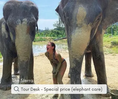 a woman is standing next to an elephant at Sierra Hostel in Nai Yang Beach
