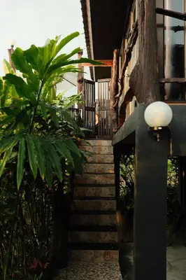 a stairway leading up to a building with a plant at Phu Samut in Ban Ba Kan Pa
