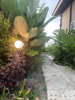 a garden with a large plant next to a sidewalk at Phu Samut in Ban Ba Kan Pa