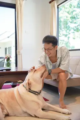 a young boy is petting a dog at Isara Nai Yang resort in Nai Yang Beach