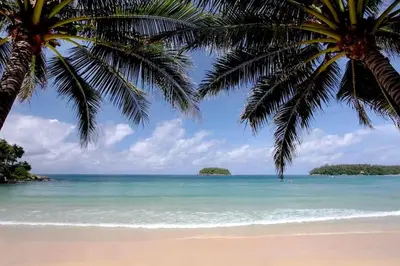 a beach with two palm trees and the ocean at Scenic Seaview Villa Sea Dream for 9, Tennis Court, 5min walk to Kata Noi Beach in Kata Beach