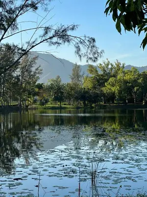a lake with trees and mountains in the background at Cozy 1-bedroom Apartments in Laguna Skypark Bang Tao in Phuket Town