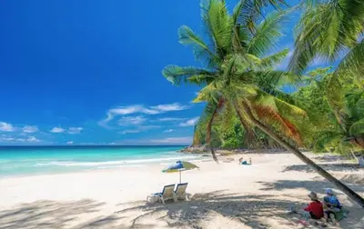 a beach with two chairs and a palm tree at The Aristo 1 Condo Surin Beach in Phuket Town