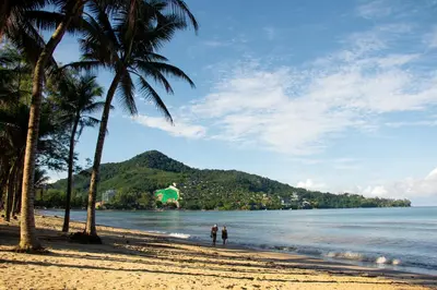 two people walking on a beach with palm trees at Kamala Beach Residence in Kamala Beach