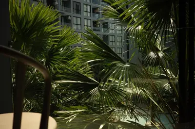 a group of palm trees in front of a building at City Gate Kamala N303 by Phuket Sabay Rent in Phuket Town
