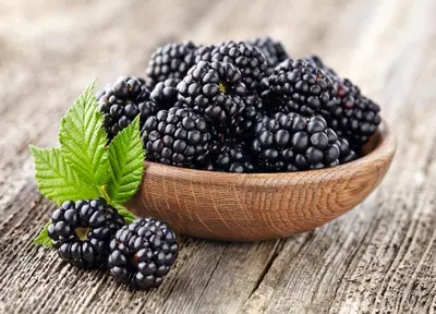 a bowl of blackberries with a green leaf at Blackberry in Rawai Beach