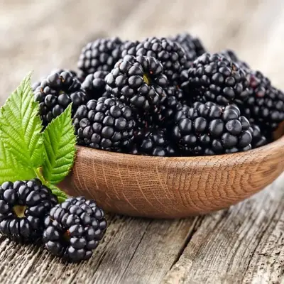 Blackberry