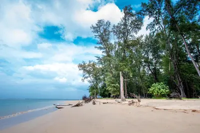 a beach with trees and the ocean on a cloudy day at Himaphan Boutique Resort - SHA EXTRA PLUS in Nai Yang Beach