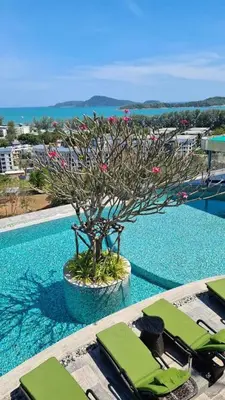 a swimming pool with a tree in the middle of it at Appartements avec piscine in Rawai Beach