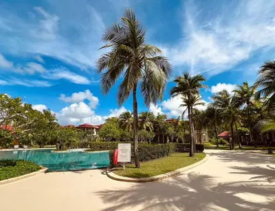 a palm tree and a swimming pool at a resort at Laguna Village by RESAVA in Layan Beach