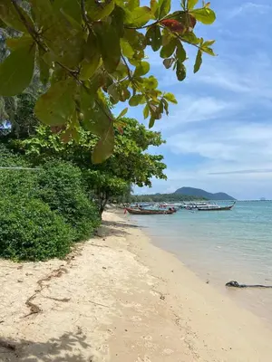 a beach with trees and boats in the water at Title V Palm View 4fl Pool Gym Hammam in Rawai Beach