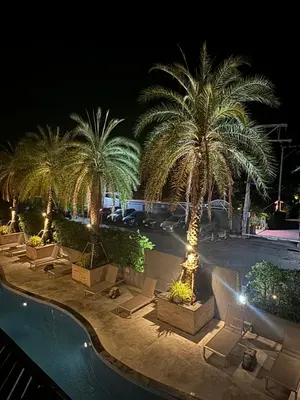 Gallery image of Rawai SkyGarden in Rawai Beach