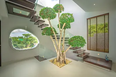 a staircase with a tree in a room with a window at Luxury Pool Villa in Nai Harn - Villa Solana in Rawai Beach
