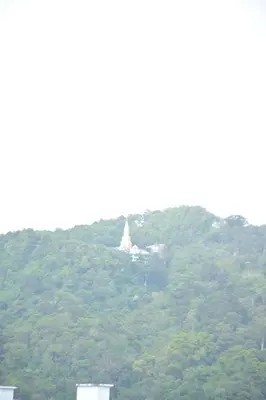 a building on top of a hill with trees at Chilli Salza Patong in Patong Beach