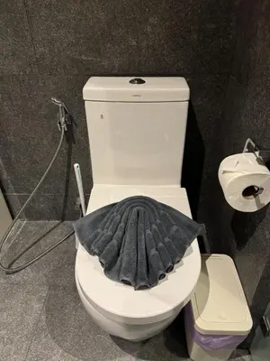 a bathroom with a toilet with a mitt on it at ReLife NaiHarn Beach by Mill in Rawai Beach