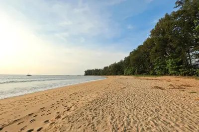 a sandy beach with trees and the ocean at 1 BR apartment in Title Naiyang in Nai Yang Beach