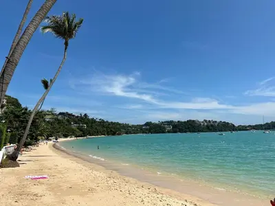a beach with a palm tree and the ocean at Areeya Khao Khad Aoyon Beach in Ban Ao Makham