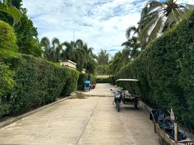 a horse drawn carriage on a street with trees at Pool villa at The Residence near BangTao beach in Bang Tao Beach