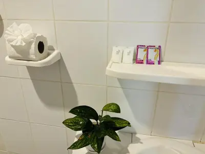 a bathroom with a toilet and a plant on a shelf at White House in Phi Phi Don