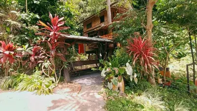 a house in the middle of a forest with plants at Bangtao Wooden house resort and cafe in Ban Thalat Choeng Thale