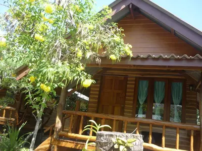 a log cabin with a tree in front of it at Pasai Beach Lodge in Ko Yao Noi