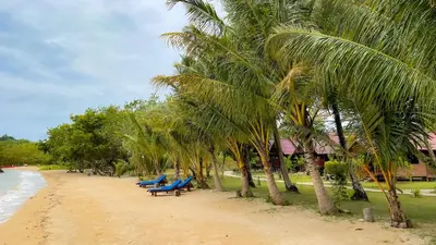 a row of benches on a beach with palm trees at Koh Yao Seaview Bungalow in Ko Yao Noi