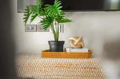 a plant sitting on top of a table with a plant at Title Halo Wild Spirit Naiyang Pool Gym 2BR in Nai Yang Beach
