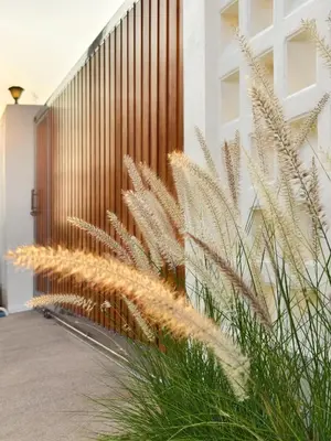 a fence with tall grass in front of a building at Krabi Private Pool Villa 2 by Belcarra Spaces in Ban Khlong Haeng
