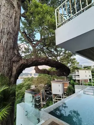 a view of a tree from the balcony of a house at little princess \u5c0f\u516c\u4e3b\u522b\u5885 in Patong Beach