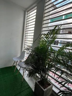 two chairs and a plant in a room with a window at Mawa Anle Hostel in Patong Beach