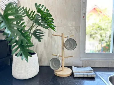 a plant sitting on a counter next to a kitchen sink at Sachi House Stay Near Muay Thai Gym and Beach in Ban Thalat Choeng Thale