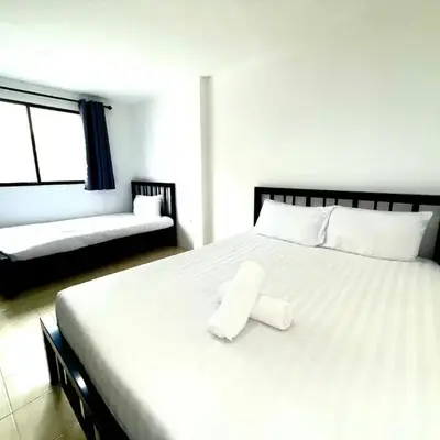 Patong 312 X