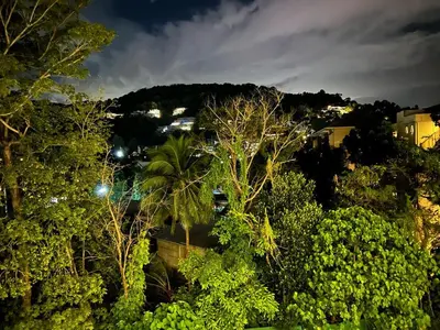 a view of a forest of trees at night at Palmyrah Surin Beach Residence in Surin Beach