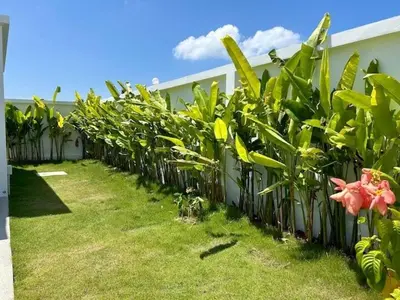 a row of green plants next to a building at V150 5-Star Villa Perfect for Relaxation &Comfort in Rawai Beach