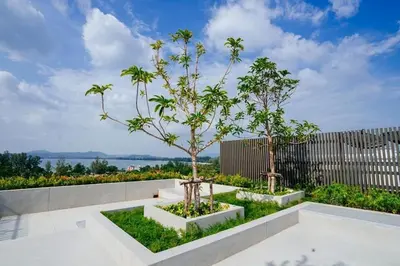 a garden with two trees and a fence at Studio surin-bangtao beach in Surin Beach