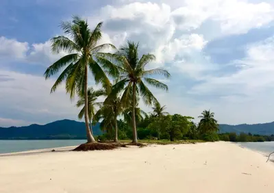 two palm trees on a beach near the water at Patcharin Home Stay in Ko Yao Yai