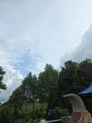 a bird flying in the sky over some trees at Esmeralda View Resort - SHA Extra Plus in Ko Yao Yai