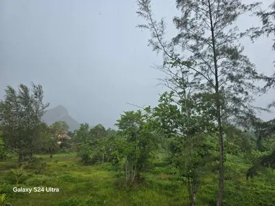 a field with trees and a hill in the background at NW House in Ao Nang Beach