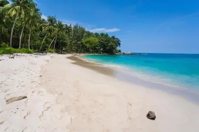 a beach with a group of palm trees and the ocean at Tropical Seaview Studio A601 at VV Patong, Just 5 Min Drive from Patong Nightlife in Patong Beach